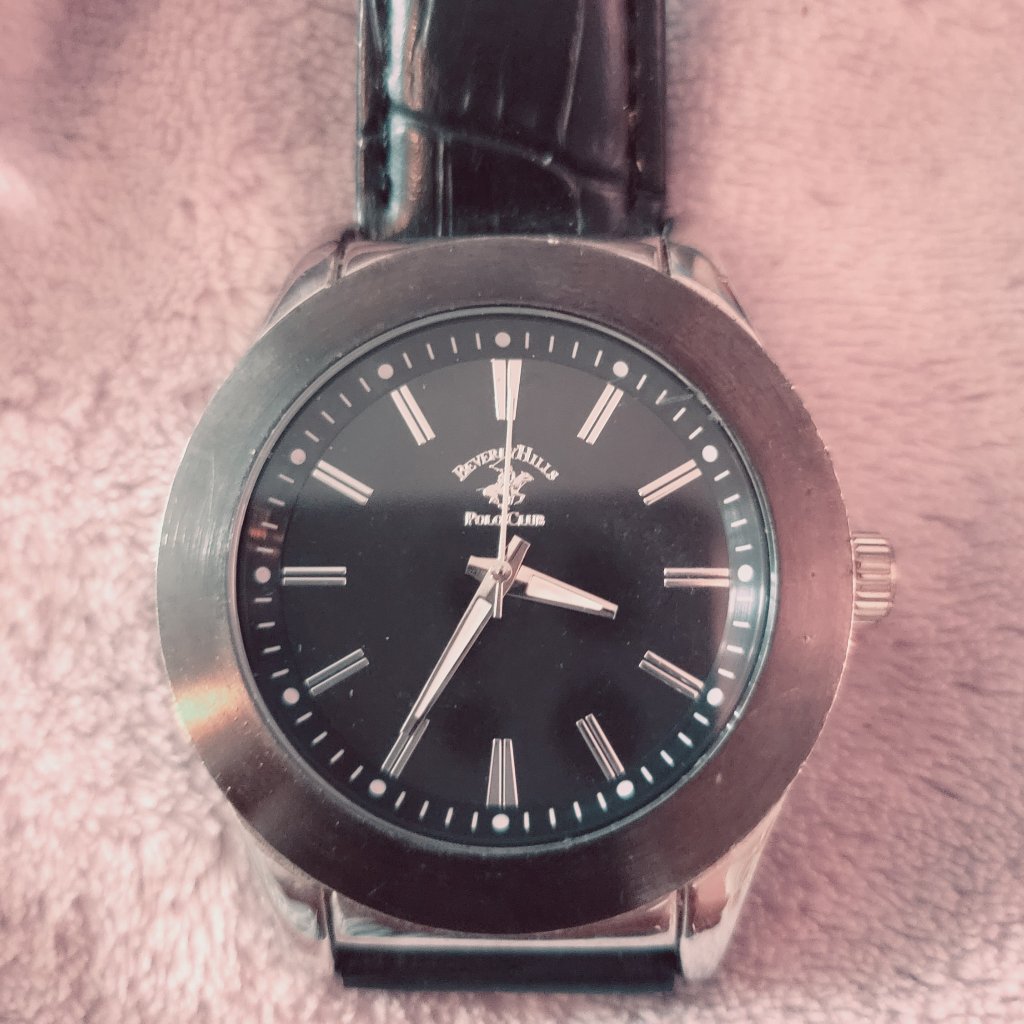 Beverly Hills Polo Club Mens Wristwatch Stainless Steel Black